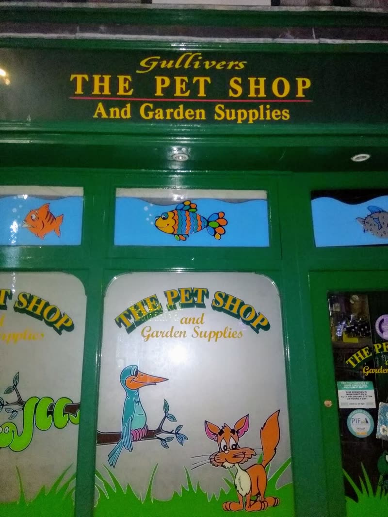 A traditional green-painted pet shop frontage with illustrated fish and bird window panels